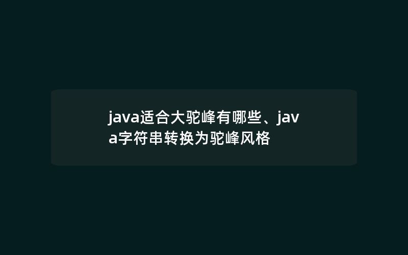 java适合大驼峰有哪些、java字符串转换为驼峰风格