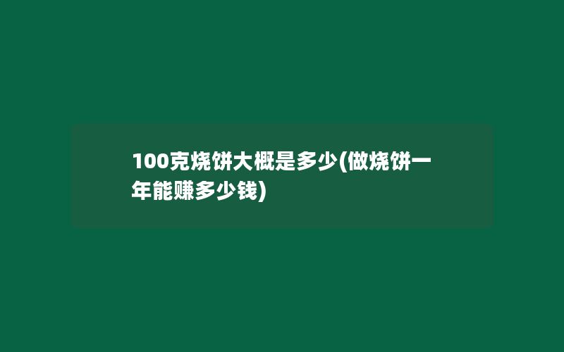 100克烧饼大概是多少(做烧饼一年能赚多少钱)