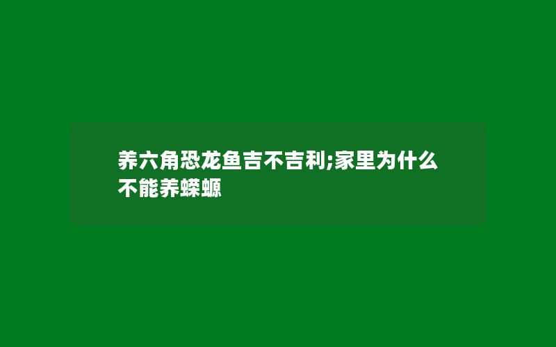 养六角恐龙鱼吉不吉利;家里为什么不能养蝾螈