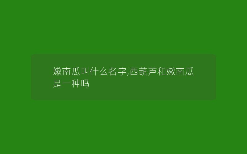 嫩南瓜叫什么名字,西葫芦和嫩南瓜是一种吗