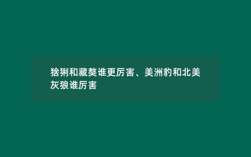 猞猁和藏獒谁更厉害、美洲豹和北美灰狼谁厉害