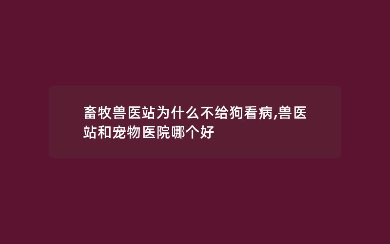 畜牧兽医站为什么不给狗看病,兽医站和宠物医院哪个好