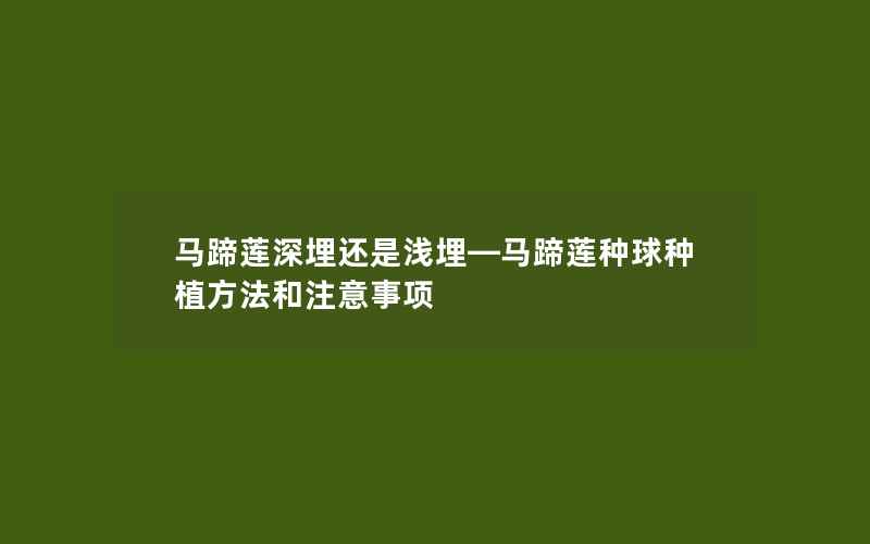 马蹄莲深埋还是浅埋—马蹄莲种球种植方法和注意事项