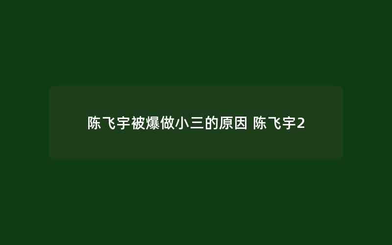 陈飞宇被爆做小三的原因 陈飞宇2