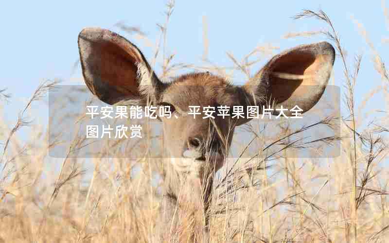 平安果能吃吗、平安苹果图片大全 图片欣赏