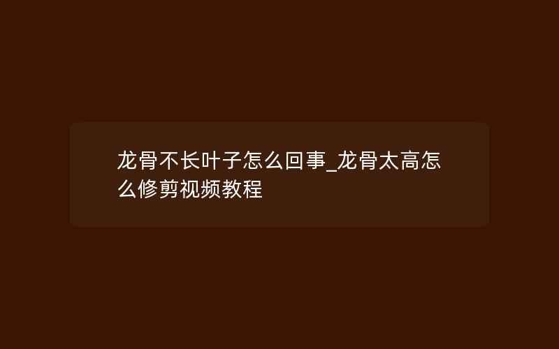 龙骨不长叶子怎么回事_龙骨太高怎么修剪视频教程