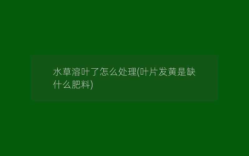 水草溶叶了怎么处理(叶片发黄是缺什么肥料)