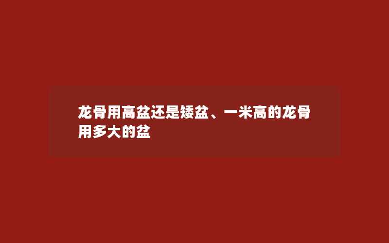 龙骨用高盆还是矮盆、一米高的龙骨用多大的盆