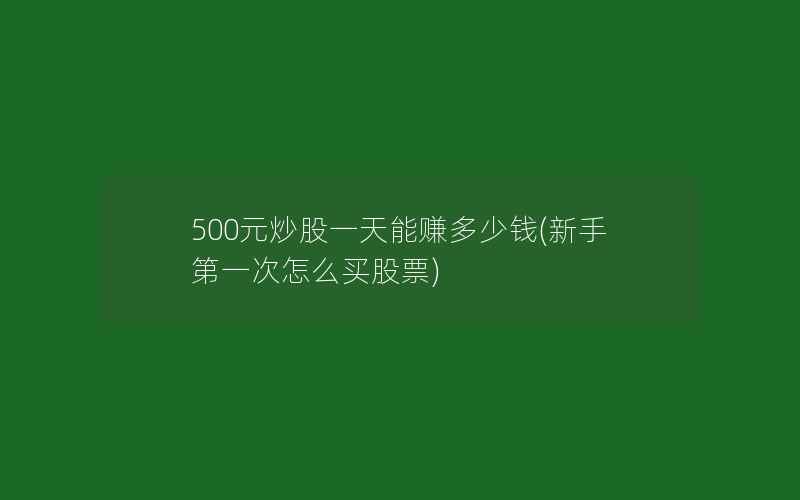 500元炒股一天能赚多少钱(新手第一次怎么买股票)