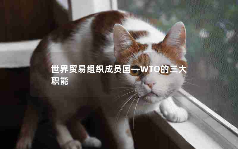 世界贸易组织成员国—WTO的三大职能