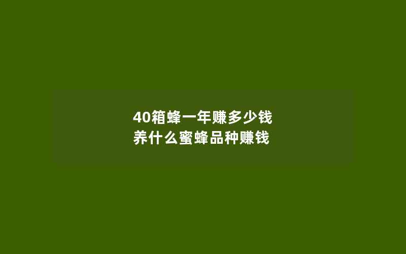 40箱蜂一年赚多少钱 养什么蜜蜂品种赚钱