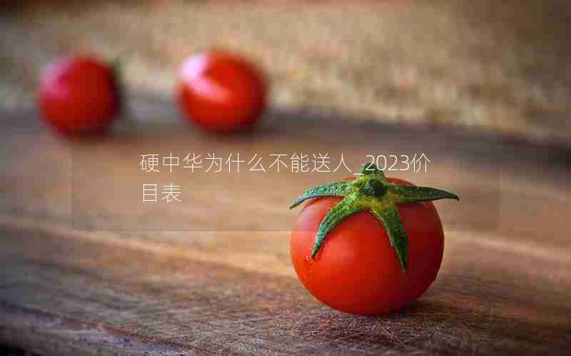 硬中华为什么不能送人_2023价目表