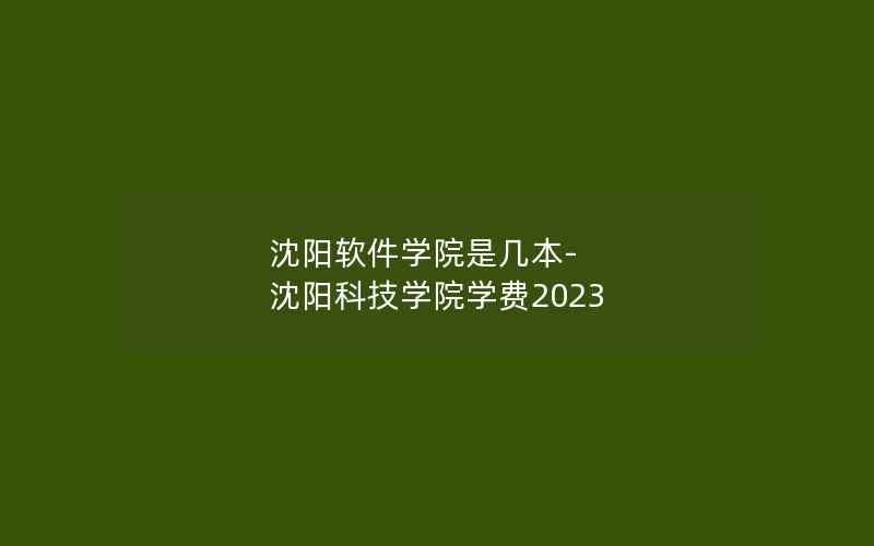 沈阳软件学院是几本-沈阳科技学院学费2023