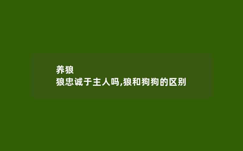 养狼 狼忠诚于主人吗,狼和狗狗的区别