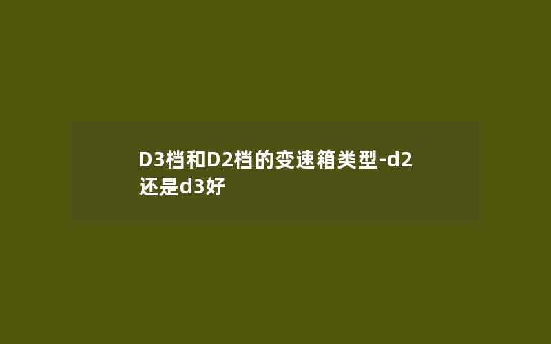 D3档和D2档的变速箱类型-d2还是d3好