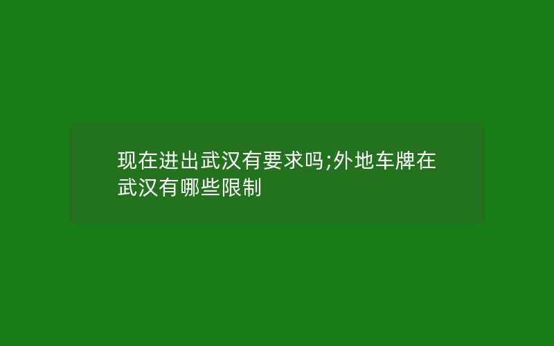 现在进出武汉有要求吗;外地车牌在武汉有哪些限制