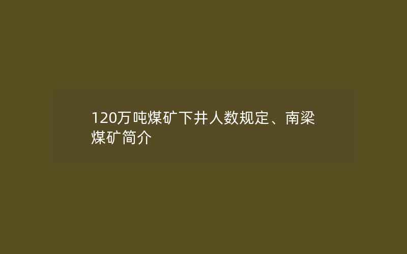 120万吨煤矿下井人数规定、南梁煤矿简介