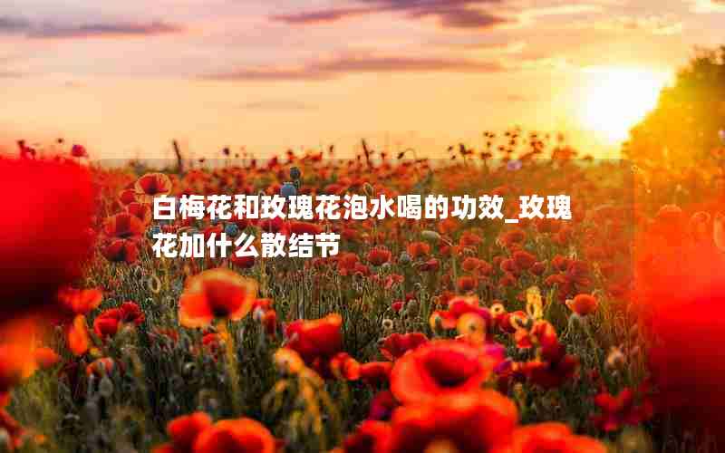 白梅花和玫瑰花泡水喝的功效_玫瑰花加什么散结节