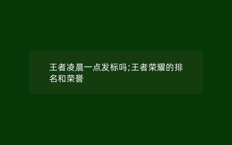 王者凌晨一点发标吗;王者荣耀的排名和荣誉