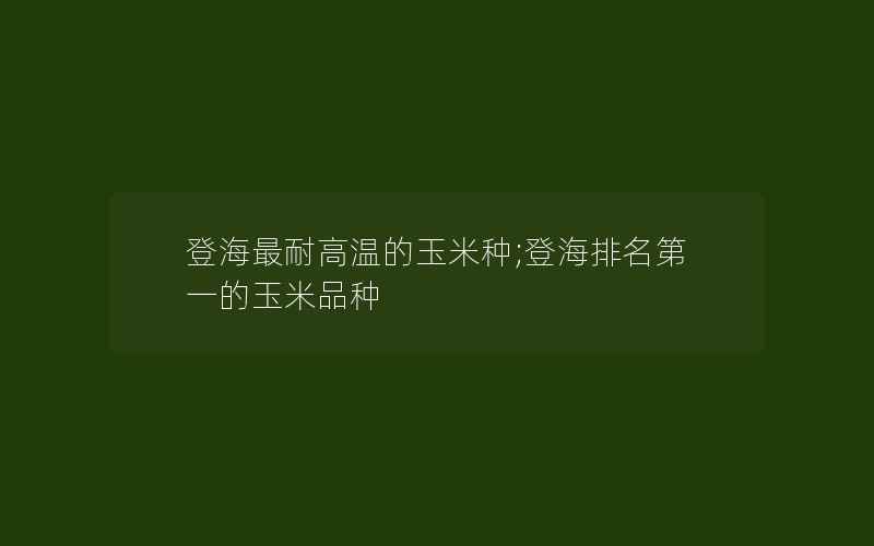 登海最耐高温的玉米种;登海排名第一的玉米品种