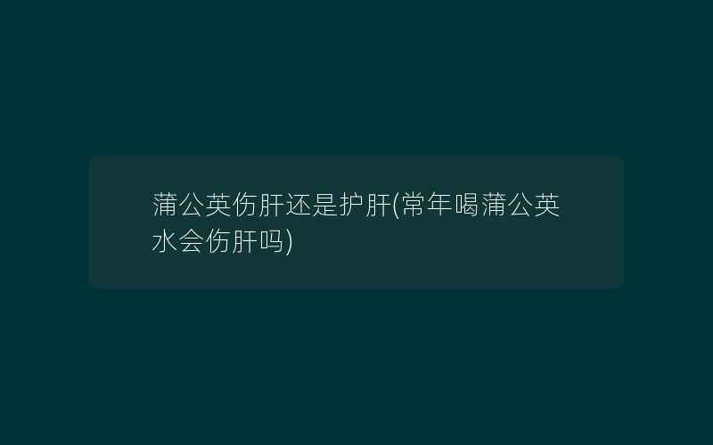 蒲公英伤肝还是护肝(常年喝蒲公英水会伤肝吗)