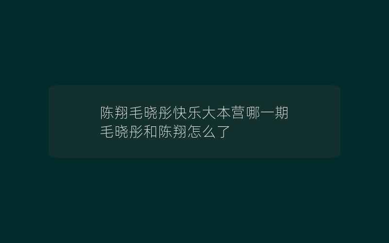 陈翔毛晓彤快乐大本营哪一期 毛晓彤和陈翔怎么了