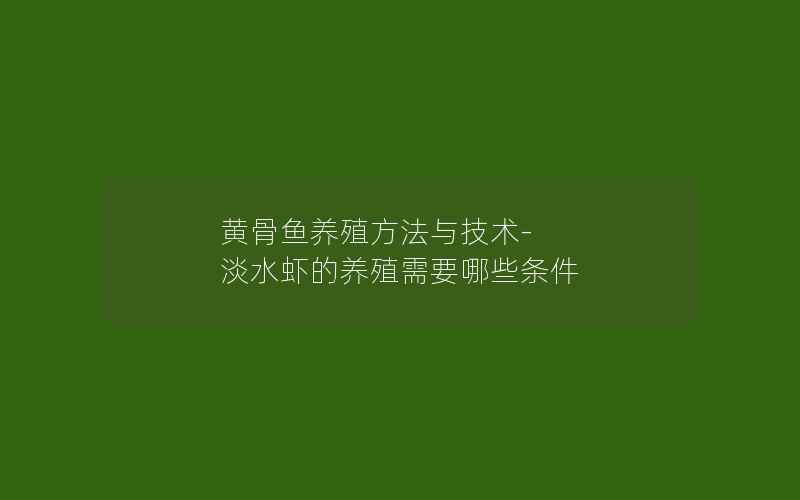 黄骨鱼养殖方法与技术-淡水虾的养殖需要哪些条件