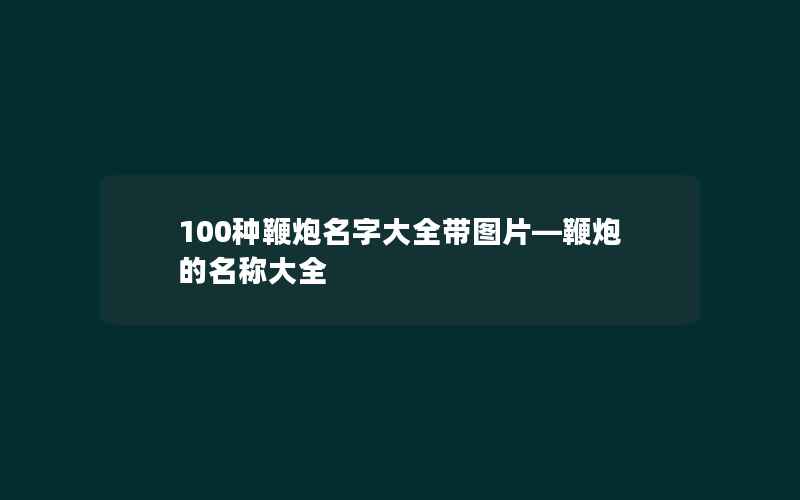 100种鞭炮名字大全带图片—鞭炮的名称大全