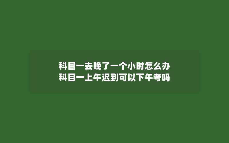 科目一去晚了一个小时怎么办 科目一上午迟到可以下午考吗