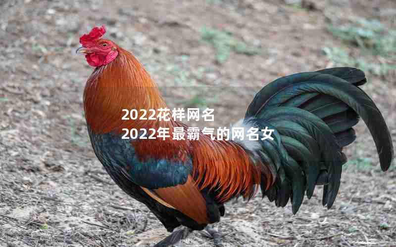 2022花样网名 2022年最霸气的网名女