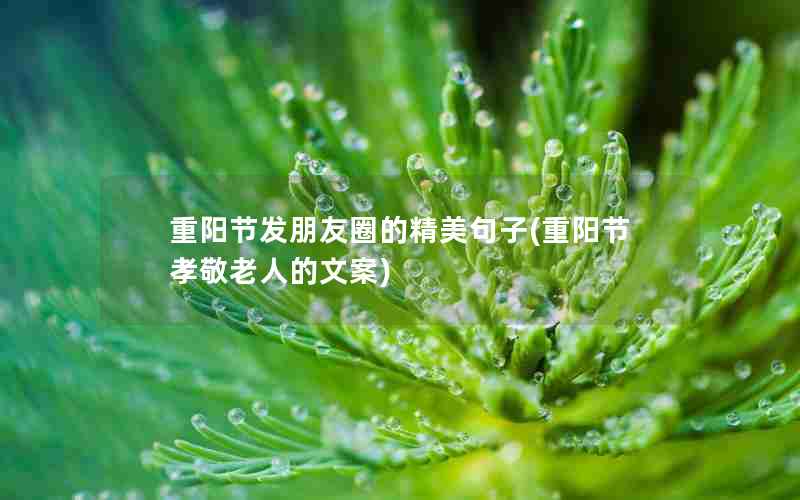 重阳节发朋友圈的精美句子(重阳节孝敬老人的文案)