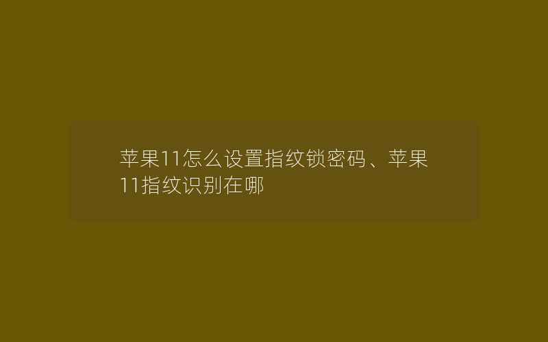 苹果11怎么设置指纹锁密码、苹果11指纹识别在哪