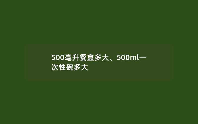 500毫升餐盒多大、500ml一次性碗多大