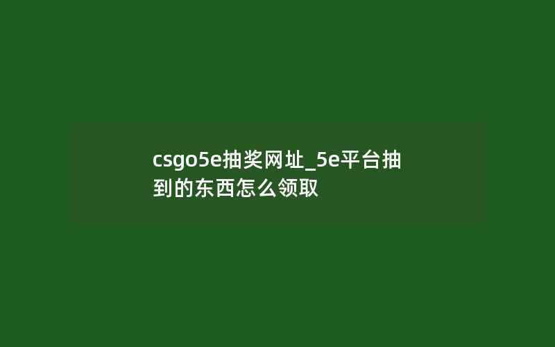 csgo5e抽奖网址_5e平台抽到的东西怎么领取