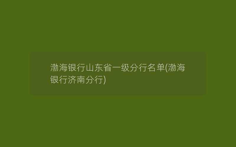 渤海银行山东省一级分行名单(渤海银行济南分行)