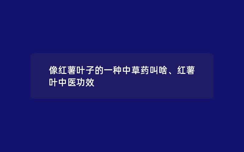 像红薯叶子的一种中草药叫啥、红薯叶中医功效