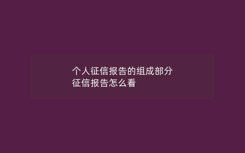 个人征信报告的组成部分 征信报告怎么看