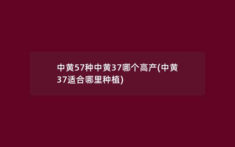 中黄57种中黄37哪个高产(中黄37适合哪里种植)