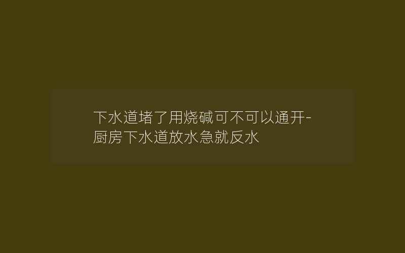 下水道堵了用烧碱可不可以通开-厨房下水道放水急就反水