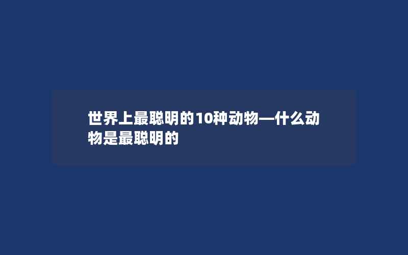 世界上最聪明的10种动物—什么动物是最聪明的