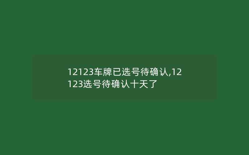 12123车牌已选号待确认,12123选号待确认十天了