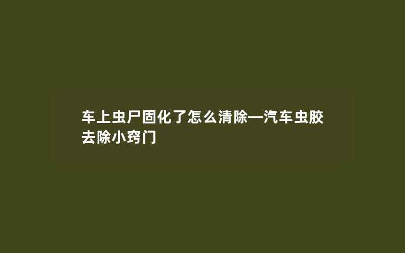 车上虫尸固化了怎么清除—汽车虫胶去除小窍门