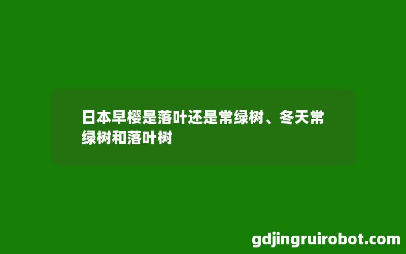 日本早樱是落叶还是常绿树、冬天常绿树和落叶树