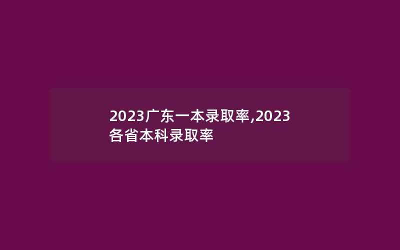 2023广东一本录取率,2023各省本科录取率