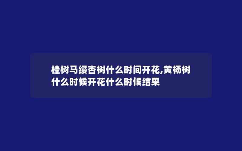 桂树马缨杏树什么时间开花,黄杨树什么时候开花什么时候结果