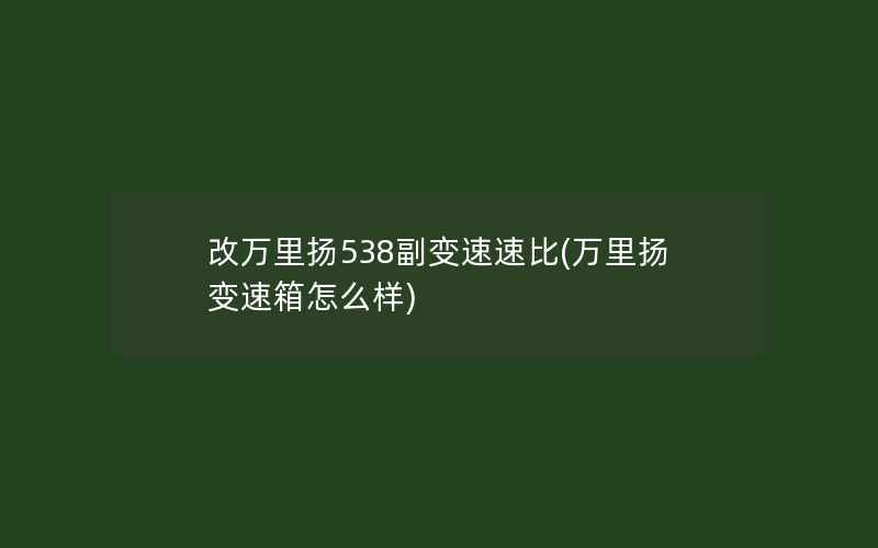 改万里扬538副变速速比(万里扬变速箱怎么样)