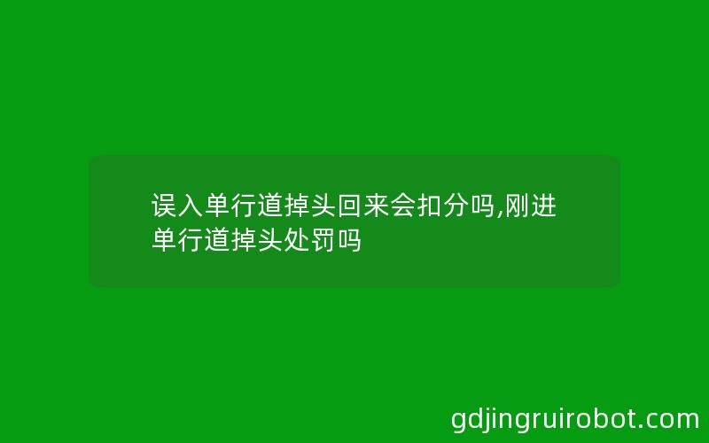 误入单行道掉头回来会扣分吗,刚进单行道掉头处罚吗