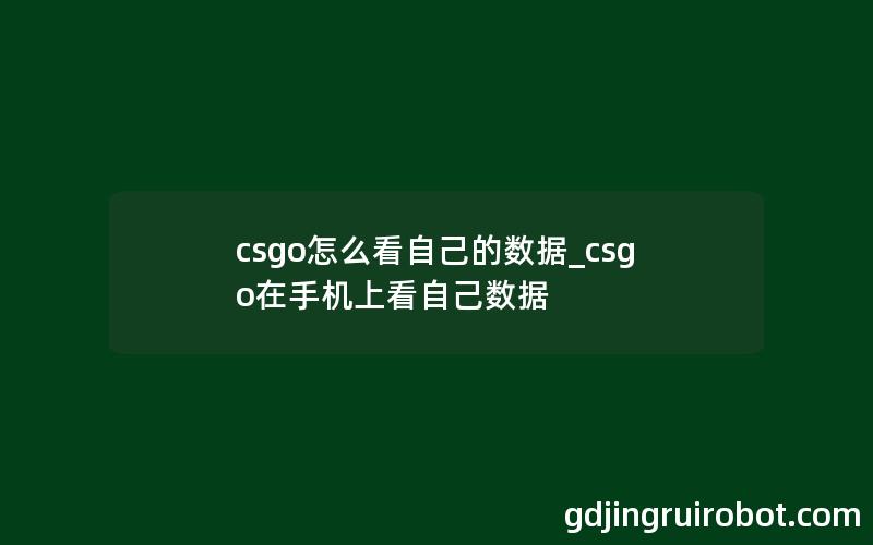 csgo怎么看自己的数据_csgo在手机上看自己数据