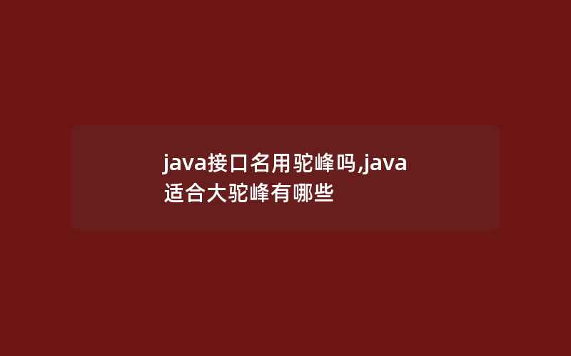 java接口名用驼峰吗,java适合大驼峰有哪些