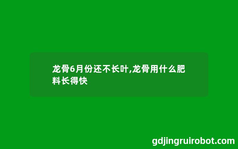 龙骨6月份还不长叶,龙骨用什么肥料长得快